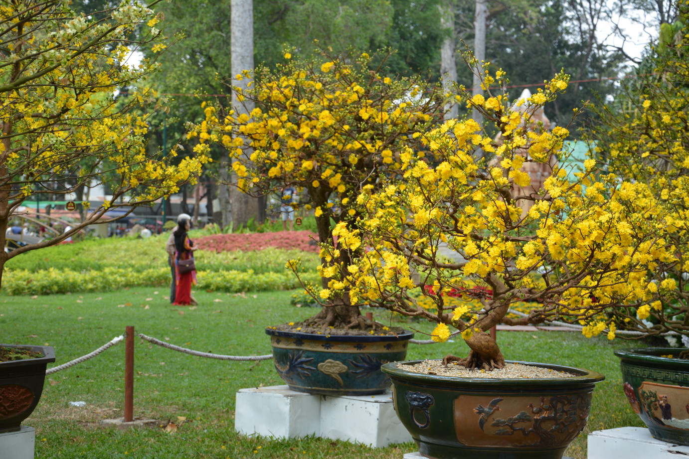 Hội hoa xuân Tao Đàn tưng bừng khoe sắc