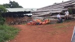 Bộ Công an đột kích các xưởng gỗ lậu ở Gia Lai