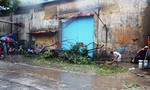 Mưa gió giật mạnh, cây ngã hàng loạt, cuộc sống người Sài Gòn đảo lộn