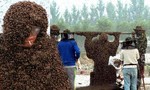Lập kỷ lục thế giới với “tấm chăn” tạo thành từ 1 triệu con ong