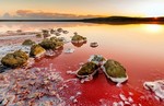 Hồ muối đỏ kỳ vĩ dọc bờ biển