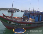 Yêu cầu Trung Quốc thả tàu cá Việt Nam vô điều kiện