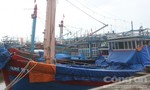 Ngư dân Quảng Ngãi dùng bạt trùm kín tàu thuyền chống bão