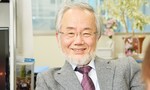 Nhà khoa học Nhật đạt Nobel Y sinh nhờ nghiên cứu về quá trình tự thực của tế bào
