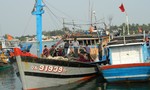 Vụ tàu ngư dân Quảng Nam bị tàu Trung Quốc cướp, phá ngư cụ:  Ngư dân lo bảo hiểm không chi trả
