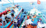 3 đường dây nóng của Bộ Công thương hỗ trợ ngư dân trong vụ cá chết