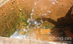 Dân ở Quảng Ngãi khổ sở vì nguồn nước nhiễm phèn