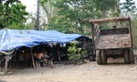 Vụ gỗ lậu "khủng" ở Đắk Nông: Đình chỉ 4 sĩ quan biên phòng