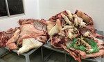 Hơn một tấn thịt heo lở mồm long móng suýt vào chợ đầu mối ở Sài Gòn