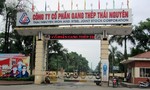 Bắt 5 cựu lãnh đạo liên quan sai phạm tại Công ty Gang thép Thái Nguyên