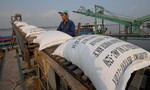 Kiến nghị xử lý trách nhiệm trong tham mưu xuất khẩu gạo