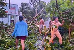 Hai CSGT dọn cây đổ giữa đường giúp dân