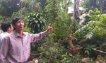 Đà Nẵng: Chính quyền thua kiện vụ đền bù đất giá rẻ mạt