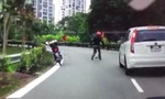 Clip tài xế môtô không màng nguy hiểm dừng xe giúp chú rùa qua đường