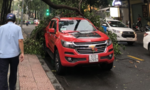 Nhánh cây gãy rớt trúng ô tô ở trung tâm Sài Gòn trong cơn mưa