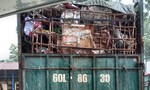 Phát hiện 1 công ty “tuồn” rác thải ra môi trường
