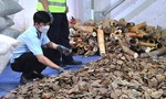 Bắt vụ nhập lậu hơn 6,6 tấn ngà voi và vảy tê tê tại cảng Tiên Sa