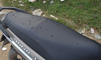 Dân sống khổ vì hôi thối và ruồi tấn công từ bãi rác Ngọc Sơn