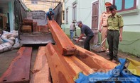 CSGT bắt xe tải vận chuyển gỗ lậu số lượng lớn