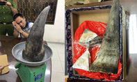 Phát hiện sừng tê giác ‘khủng’ ở sân bay Tân Sơn Nhất