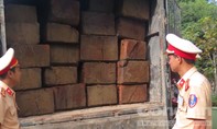CSGT Thừa Thiên – Huế liên tục bắt gỗ lậu