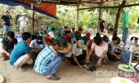 Trinh sát bao vây trường gà, bắt giữ 34 đối tượng trong vườn dừa