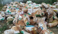 Chôn lấp rác thải nguy hại, một công ty bị xử phạt gần 1 tỷ đồng
