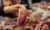 TP.HCM: Báo động tình trạng dư kháng sinh trong thịt động vật
