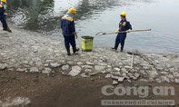 Truy tìm nguyên nhân hàng tấn cá chết tại hồ Hoàng Cầu