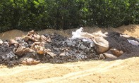 Formosa chôn hơn 100 tấn chất thải trong trang trại của Giám đốc công ty môi trường