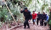 Vụ phá rừng ở Lâm Đồng: Xử lý nghiêm cá nhân, đơn vị có dấu hiệu tiêu cực