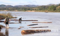 Vụ cung đường gỗ lậu trên sông: Làm rõ trách nhiệm của chính quyền địa phương