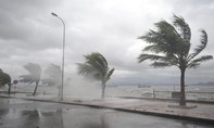 Khu vực Nam Bộ chuẩn bị phương án đối phó áp thấp nhiệt đới kép