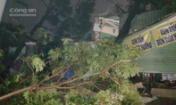 TP.HCM: Nhà tốc mái, cây ngã la liệt trước bão số 14