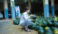 Hoa khôi Nam Em vận động cộng đồng mua dưa hấu giúp nông dân Quảng Ngãi