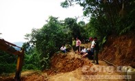 Phá đường giáp ranh huyện Bắc Trà My để ngăn chặn lâm tặc vào phá rừng