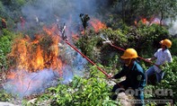 Cháy khoảng 20 ha rừng nguyên sinh ở xã Quế Thọ