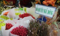 Chợ hoa tươi lớn nhất Sài Gòn hối hả hoa Tết, hoa cho ngày lễ tình nhân