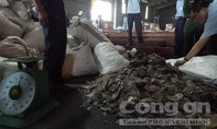 Hơn 7 tấn vảy tê tê “núp”  trong container chở gỗ cập cảng ở Sài Gòn