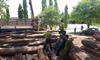Vụ gỗ lậu ở Đắk Nông: Bắt đàn em thân tín của trùm Phượng 'râu'