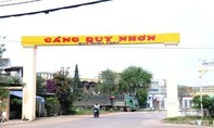Kiến nghị thu hồi 75,01% cổ phần Cảng Quy Nhơn về sở hữu Nhà nước