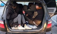 Đức bắt 17 người Việt nhập cư trái phép từ Đông Âu trên 3 ô tô