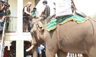 Độc đáo lễ cúng bến nước và lễ cúng sức khỏe cho voi