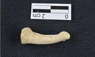 Phát hiện dấu vết của người cổ đã tuyệt chủng ở Philippines