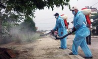 Hàng chục công nhân nhập viện nghi ngộ độc thuốc xịt côn trùng