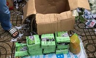 Gần 50kg ma túy ngụy trang trong thùng trái cây từ Campuchia về Sài Gòn