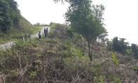 Kiên Giang: Hàng tỷ đồng bảo vệ rừng vào túi ai?