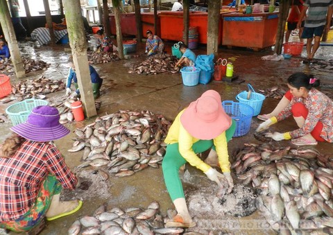 Người dân làng khô truyền tai nhau về việc mua bán vảy cá.