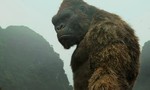 ‘Kong: Skull Island’ thu 104 tỷ đồng tại Việt Nam sau 7 ngày công chiếu