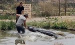 Đánh nhau với cá sấu dài 4,5m để cứu con trai